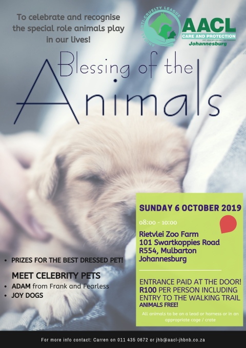 Blessing of the Animals 06 October 2019 (Small) (Small)