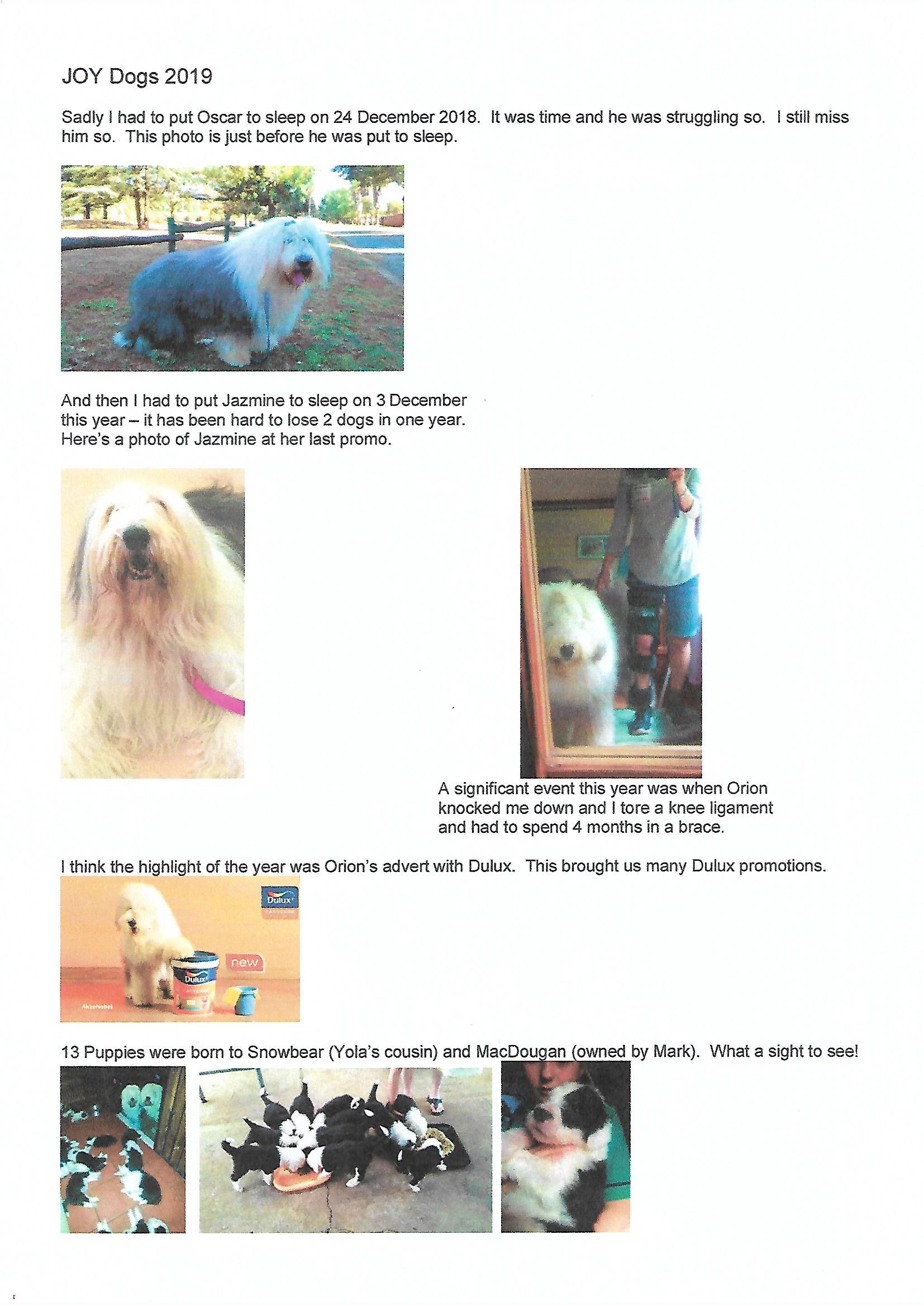 JOY Dogs 2019 Page 1