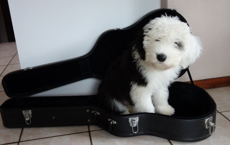 DSC05152 (Small)